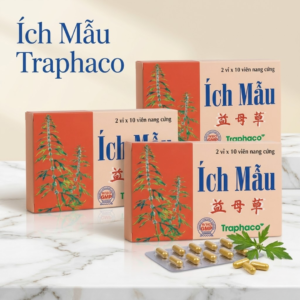 Ích Mẫu Traphaco