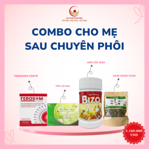 COMBO CHO MẸ SAU CHUYỂN PHÔI