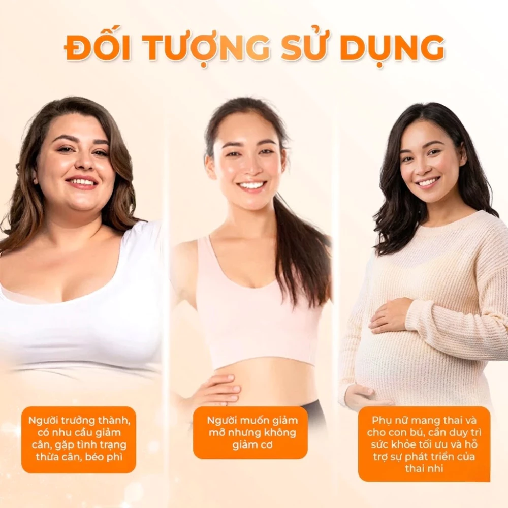 vn-11134207-81ztc-mm9p1ec3lhqba6